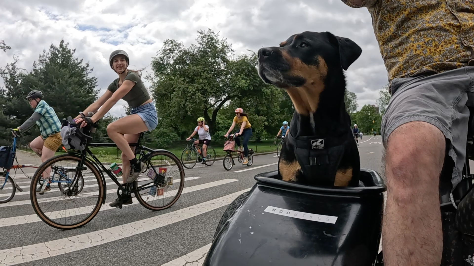 Patrol photo from Central Park on 2025-05-26