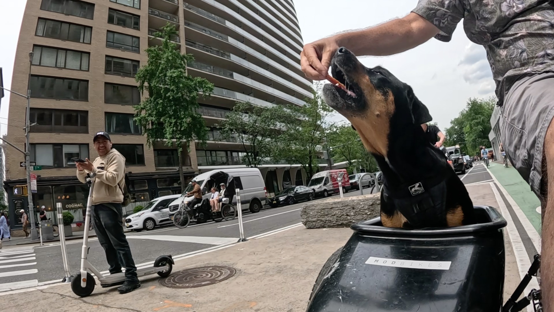 Patrol photo from Central Park on 2025-05-27