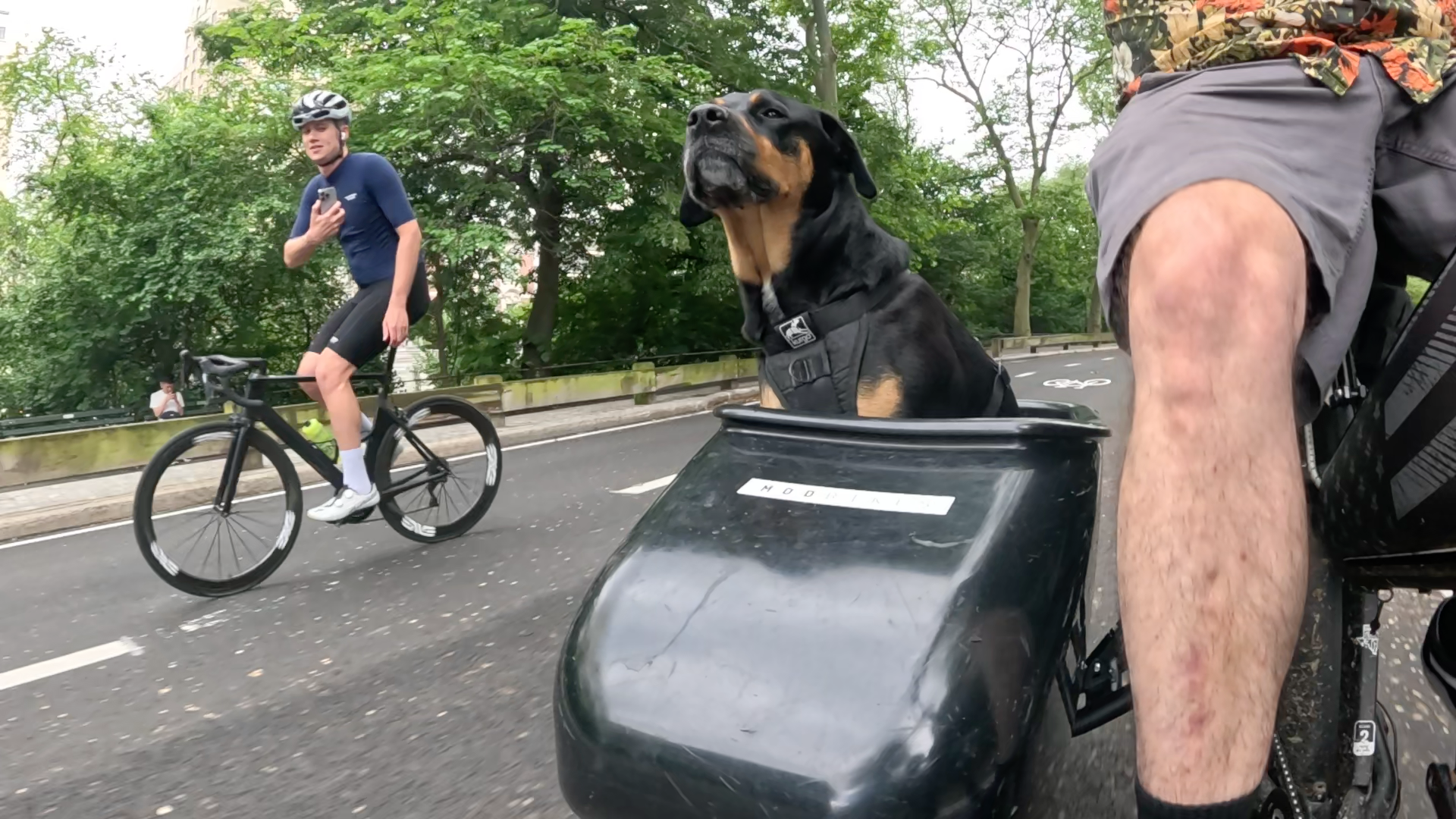 Patrol photo from Central Park on 2025-05-24