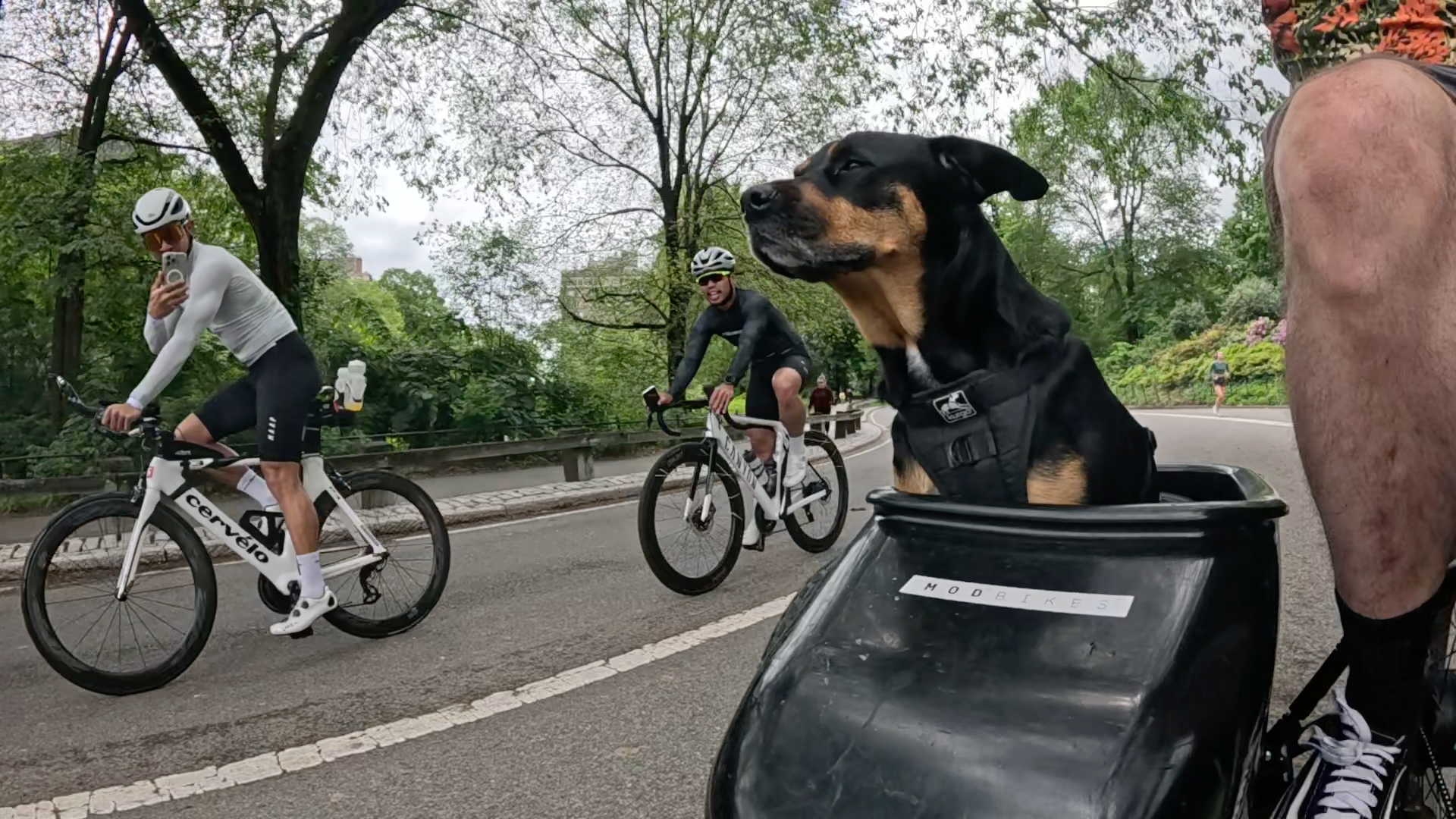 Patrol photo from Central Park on 2025-05-24