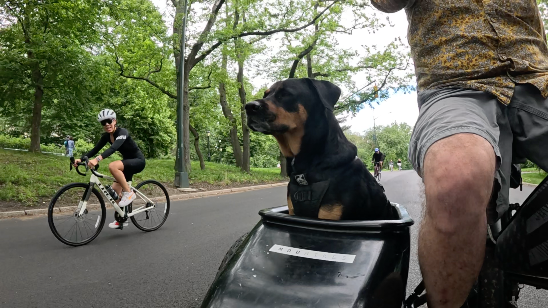 Patrol photo from Central Park on 2025-05-26