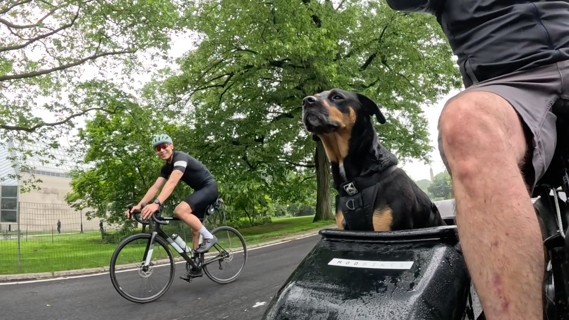 Patrol photo from Central Park on 2025-05-23
