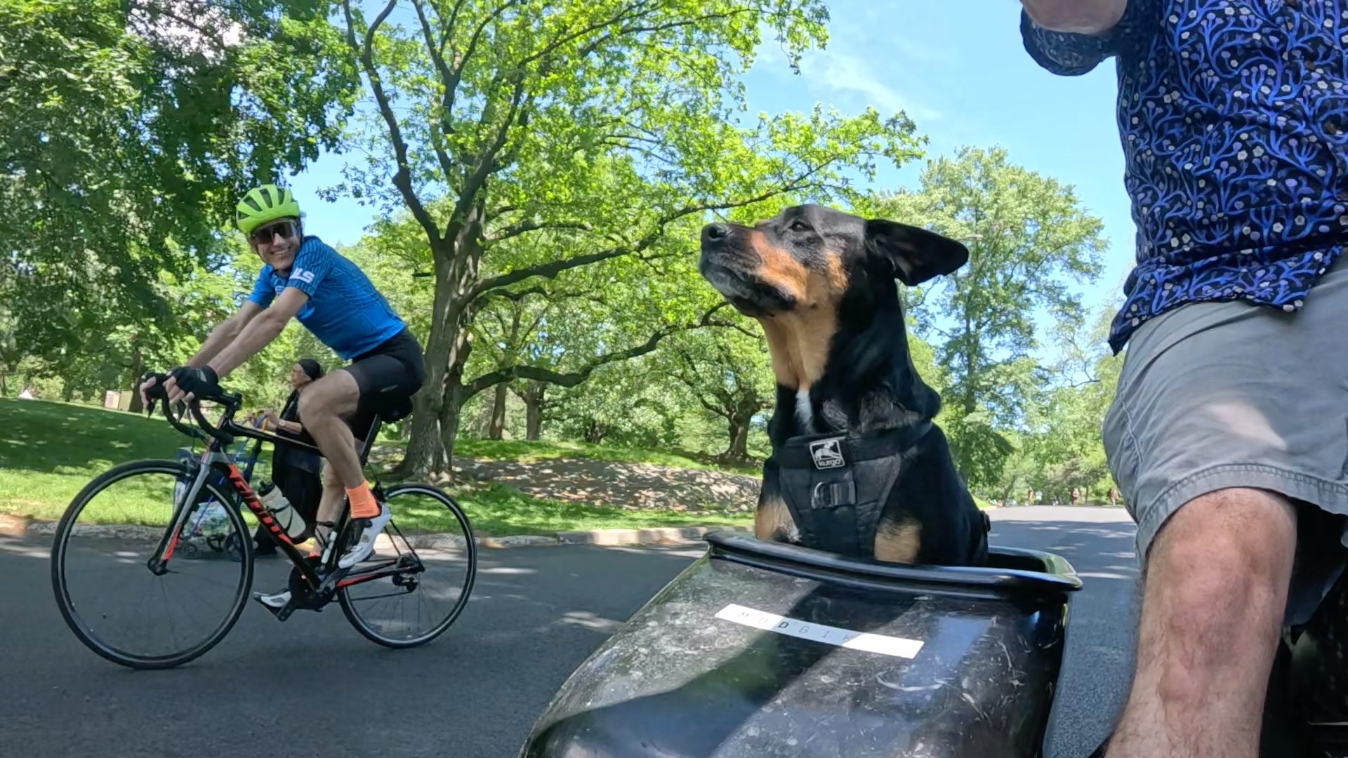 Patrol photo from Central Park on 2025-05-20