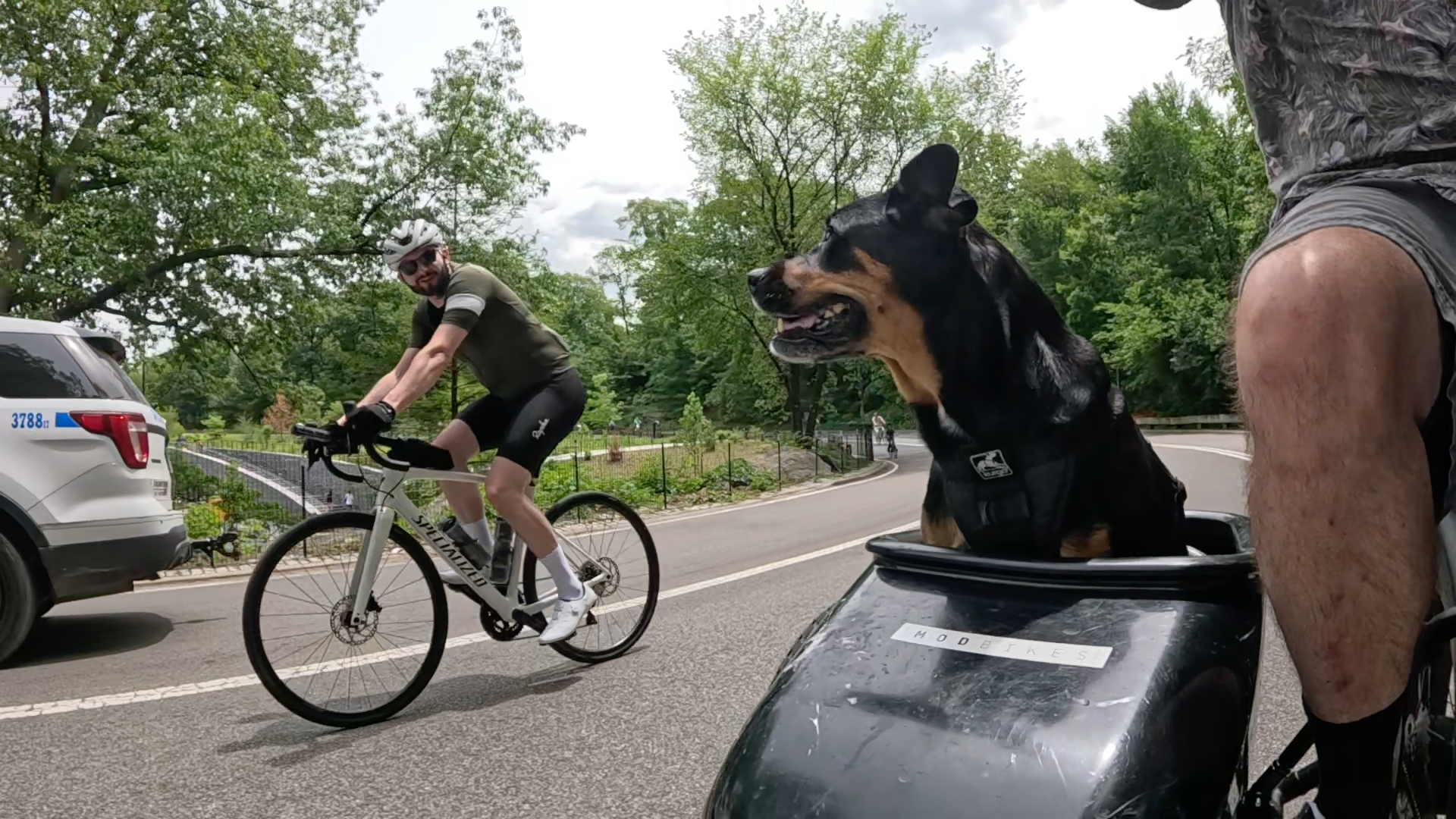 Patrol photo from Central Park on 2025-05-27