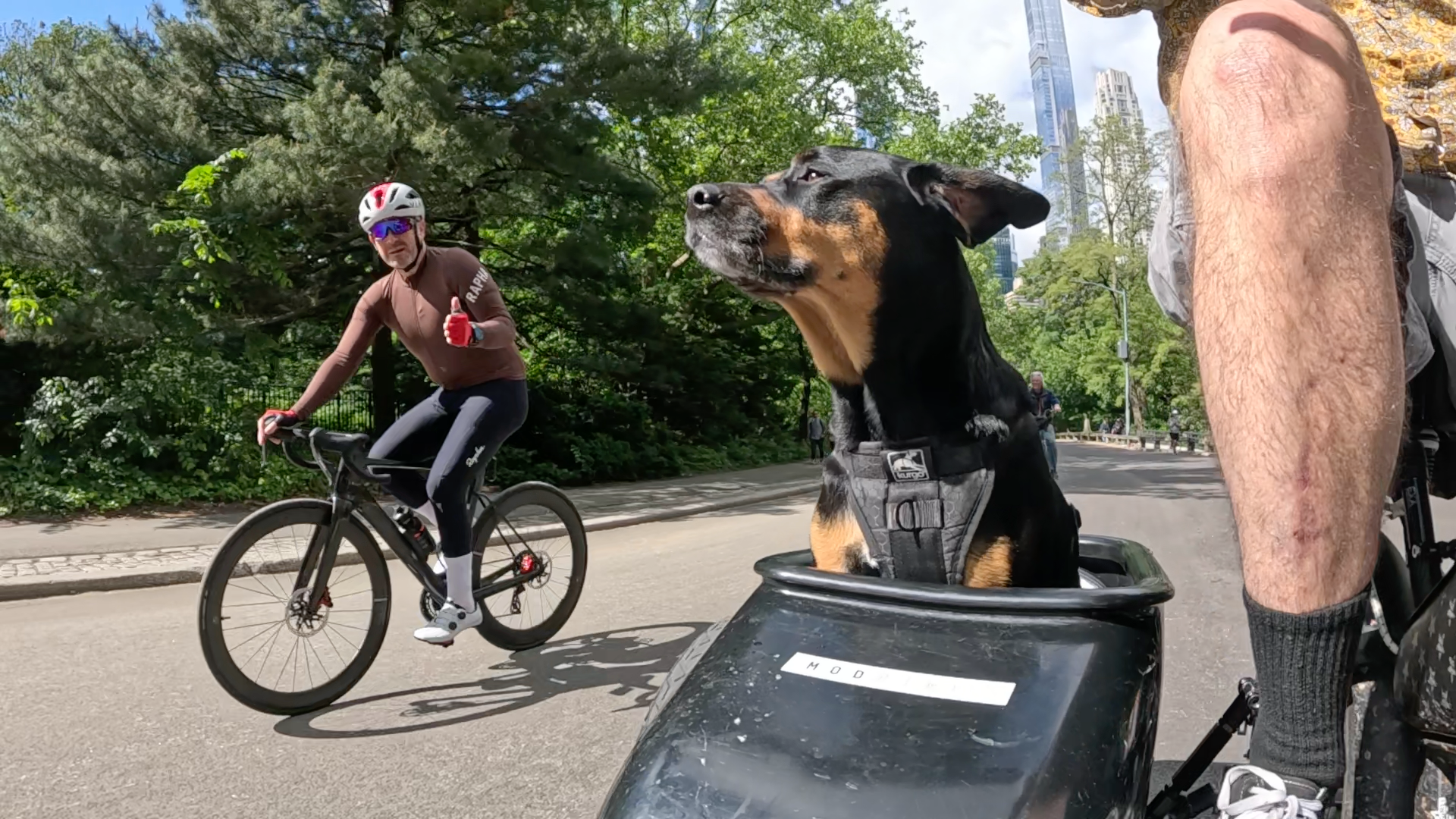 Patrol photo from Central Park on 2025-05-26