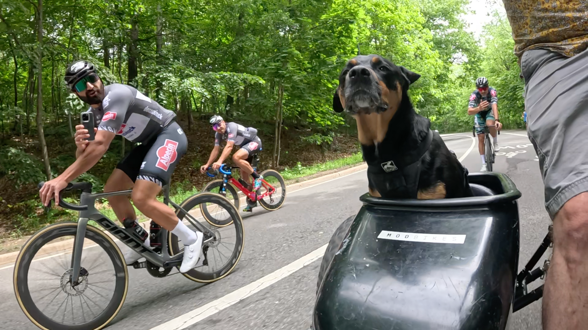 Patrol photo from Central Park on 2025-05-26