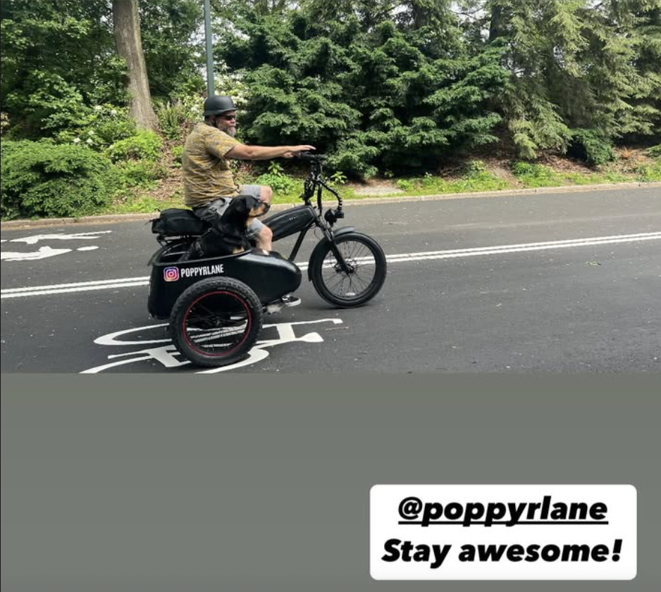 Patrol photo from Central Park on 2025-05-25