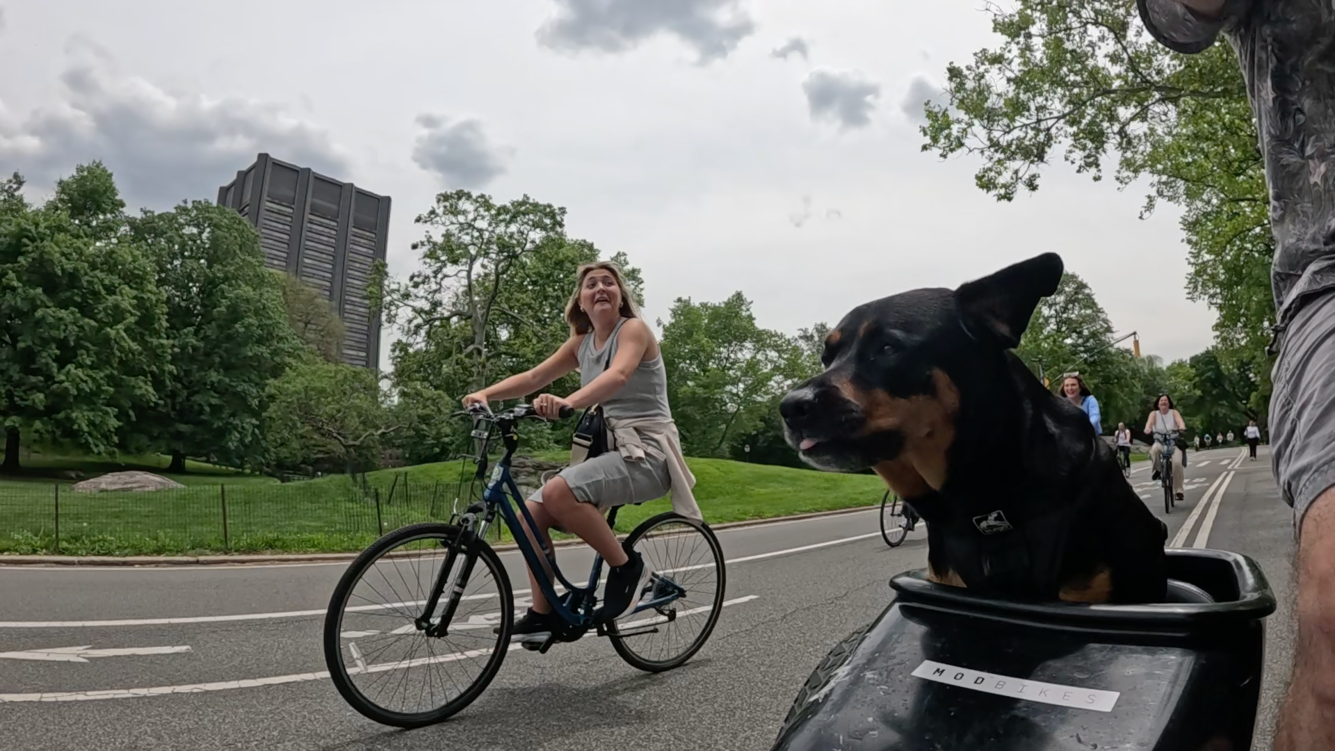 Patrol photo from Central Park on 2025-05-27
