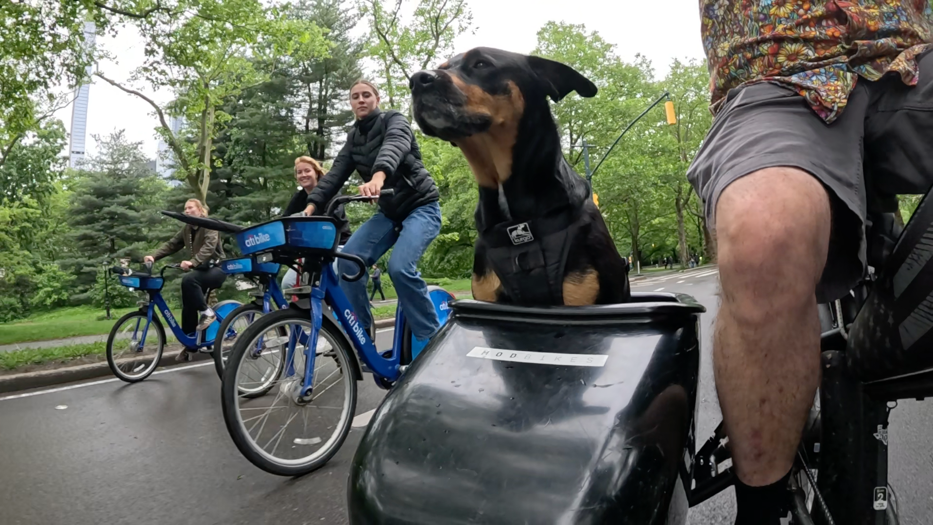 Patrol photo from Central Park on 2025-05-22