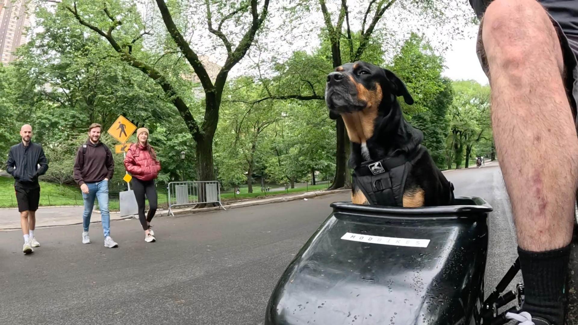 Patrol photo from Central Park on 2025-05-23