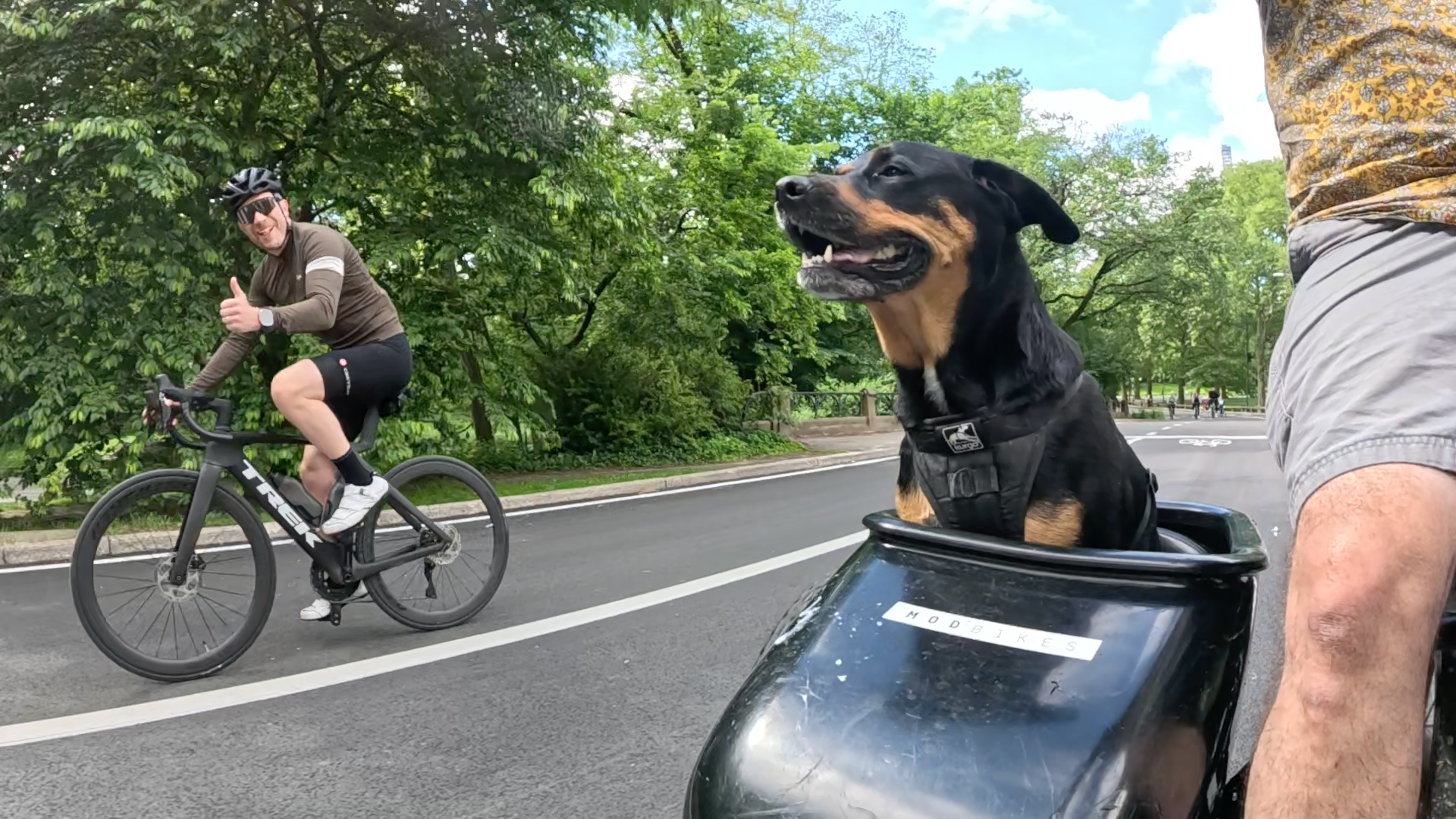 Patrol photo from Central Park on 2025-05-26