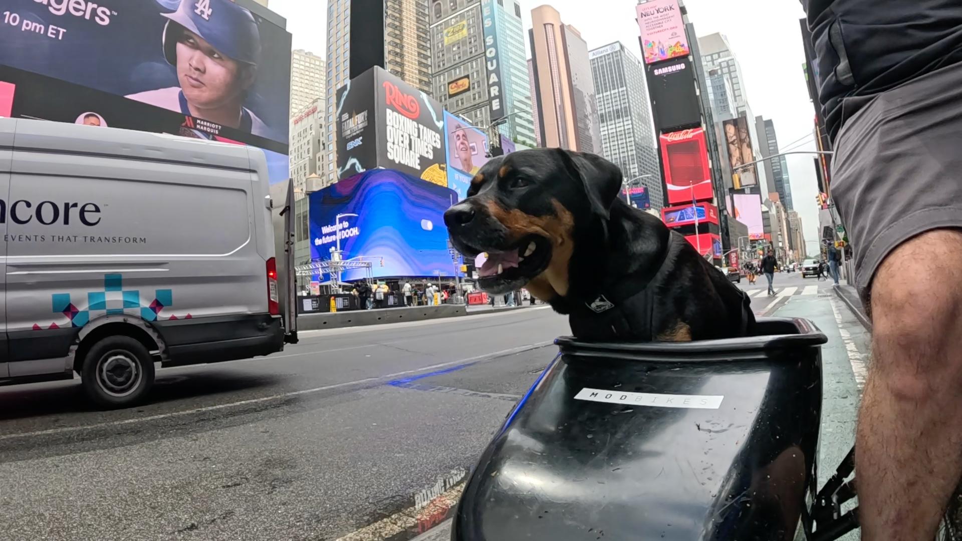 Patrol photo from Central Park on 2025-05-23