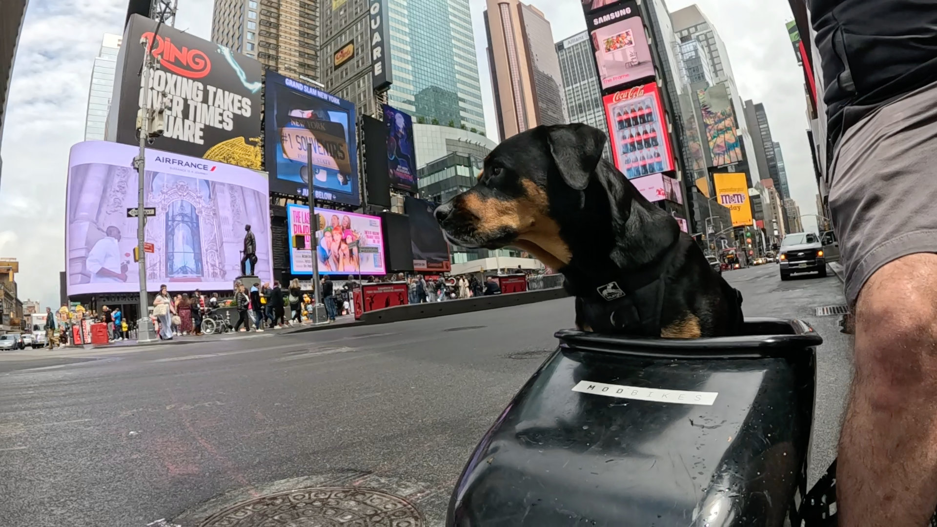 Patrol photo from Central Park on 2025-05-23