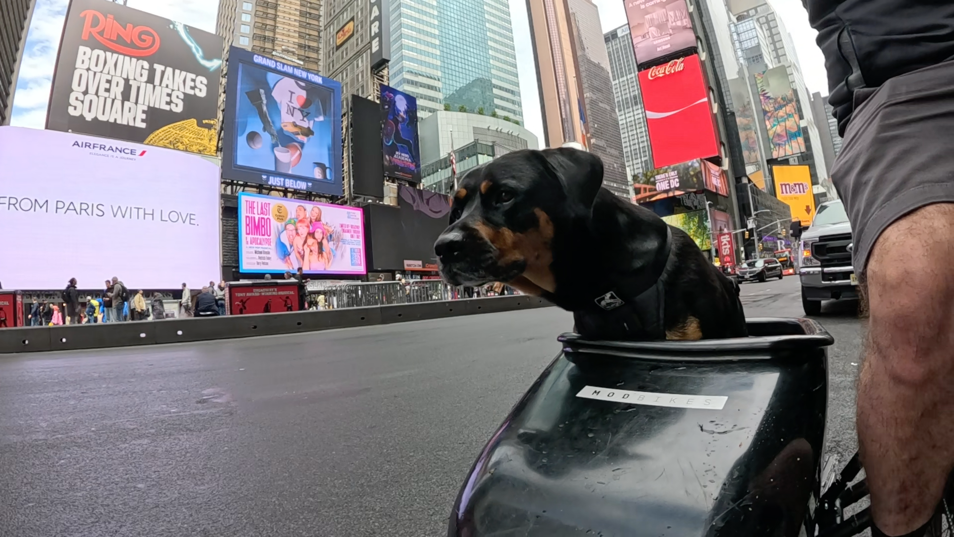 Patrol photo from Central Park on 2025-05-23