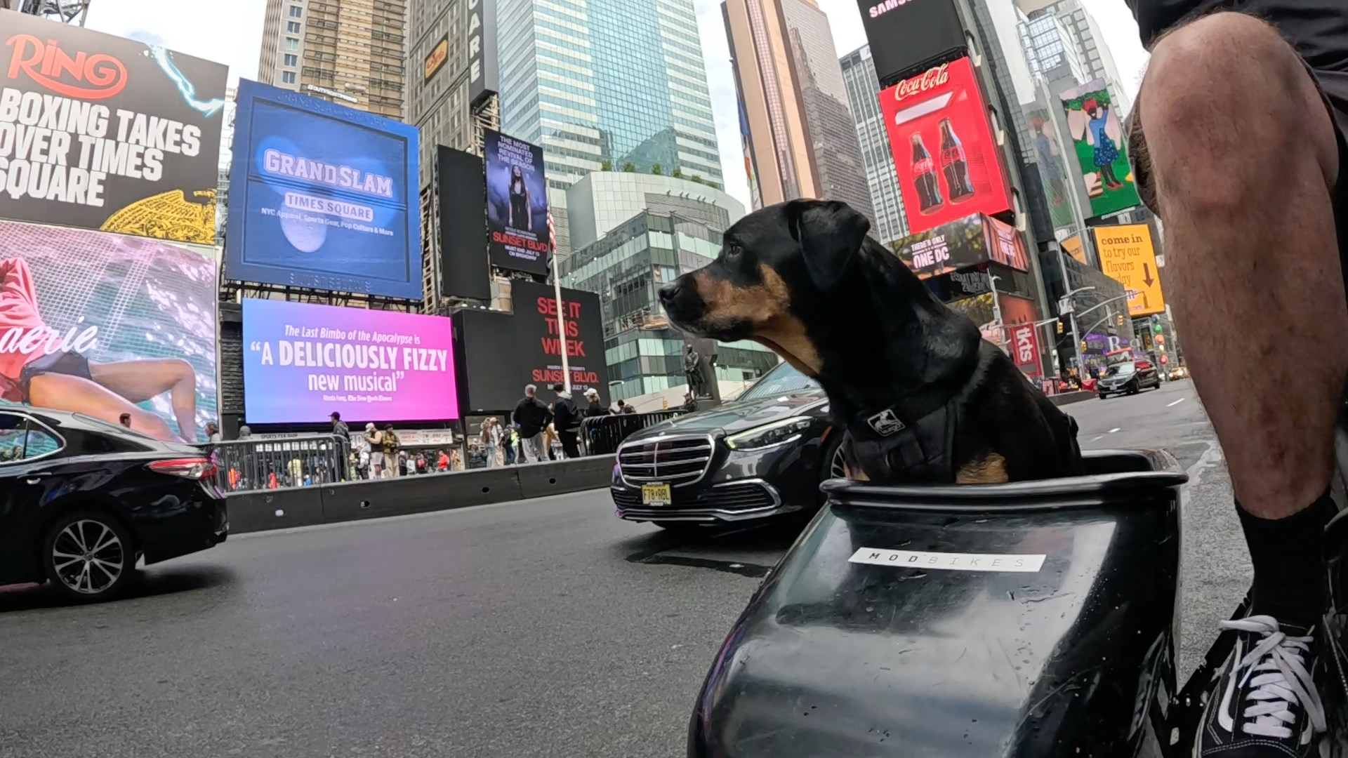 Patrol photo from Central Park on 2025-05-23