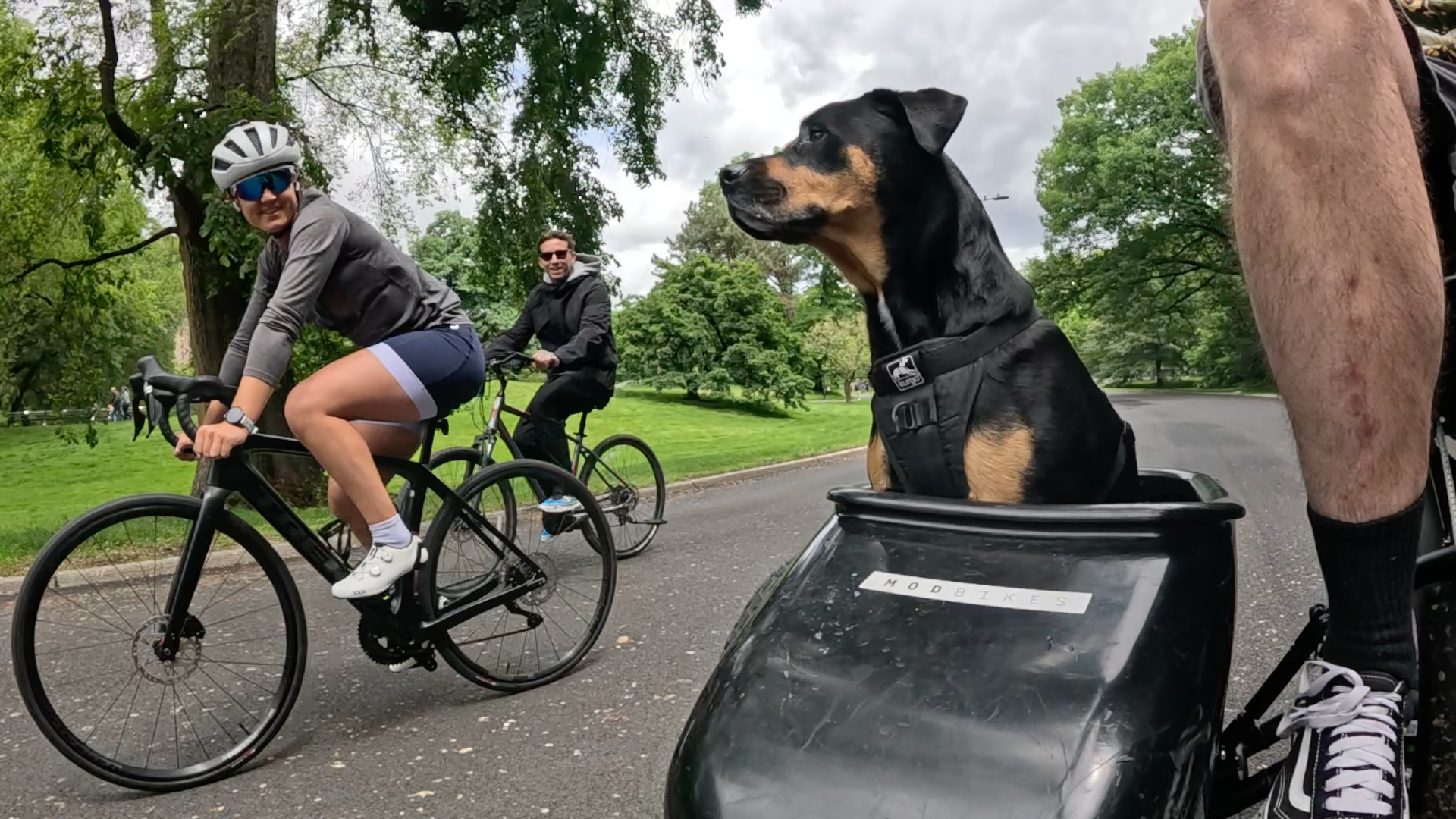 Patrol photo from Central Park on 2025-05-24