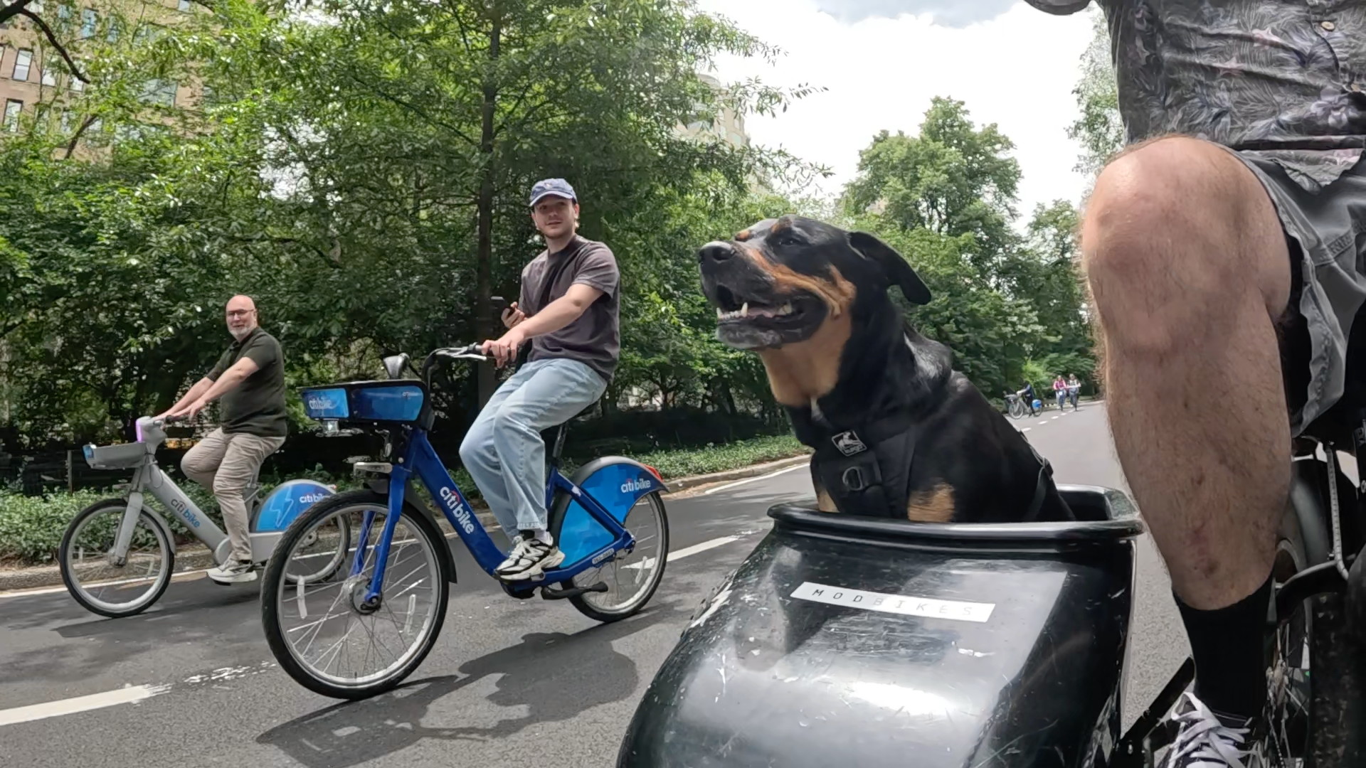 Patrol photo from Central Park on 2025-05-27