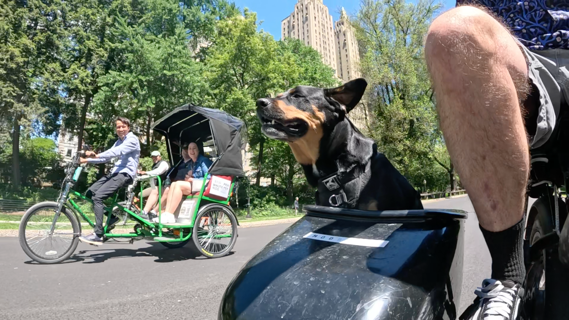 Patrol photo from Central Park on 2025-05-20