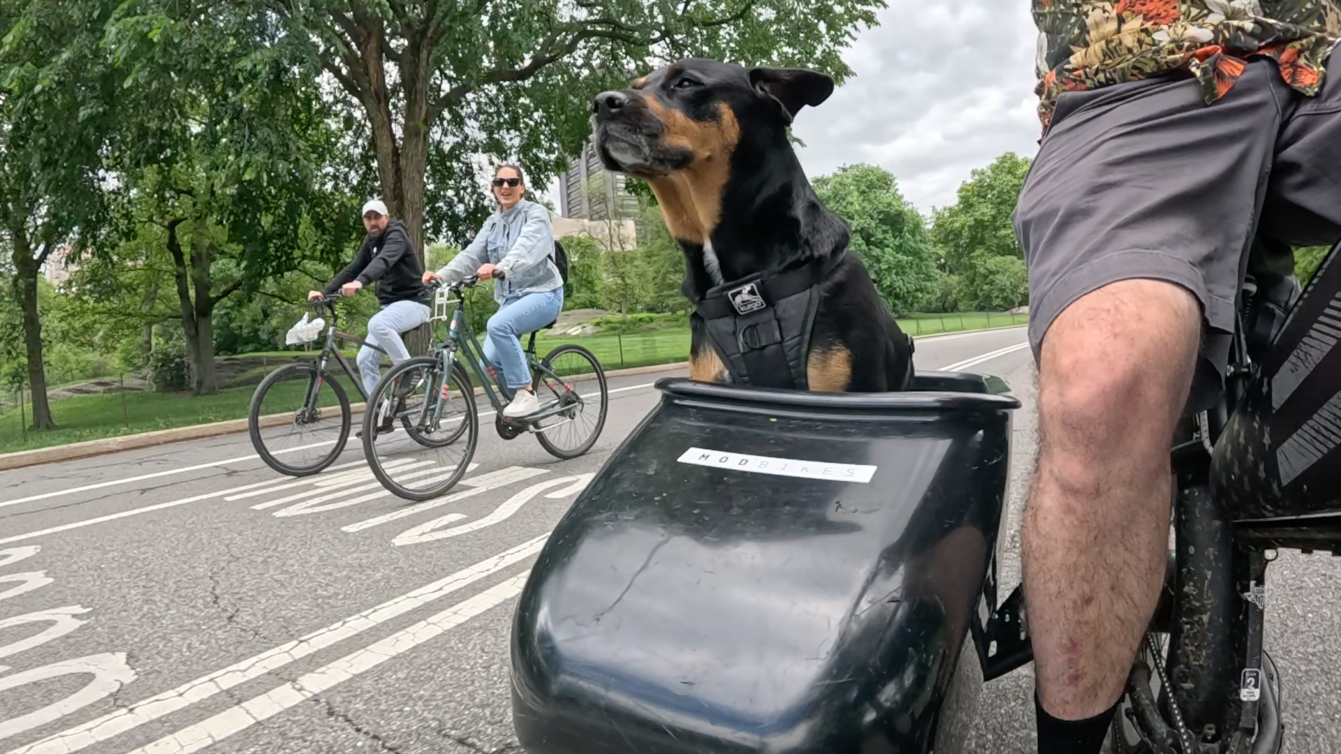 Patrol photo from Central Park on 2025-05-24
