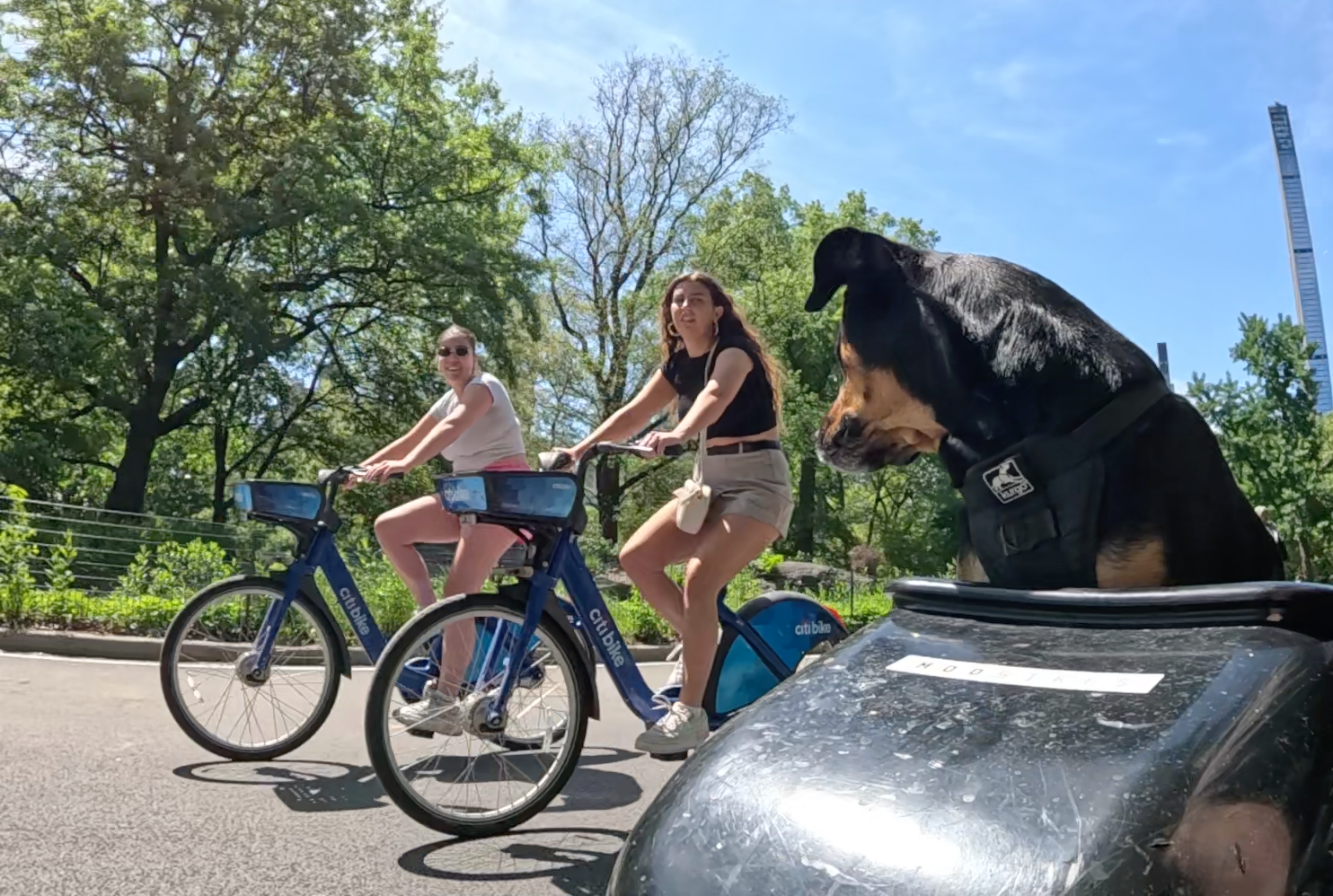 Patrol photo from Central Park on 2025-05-25