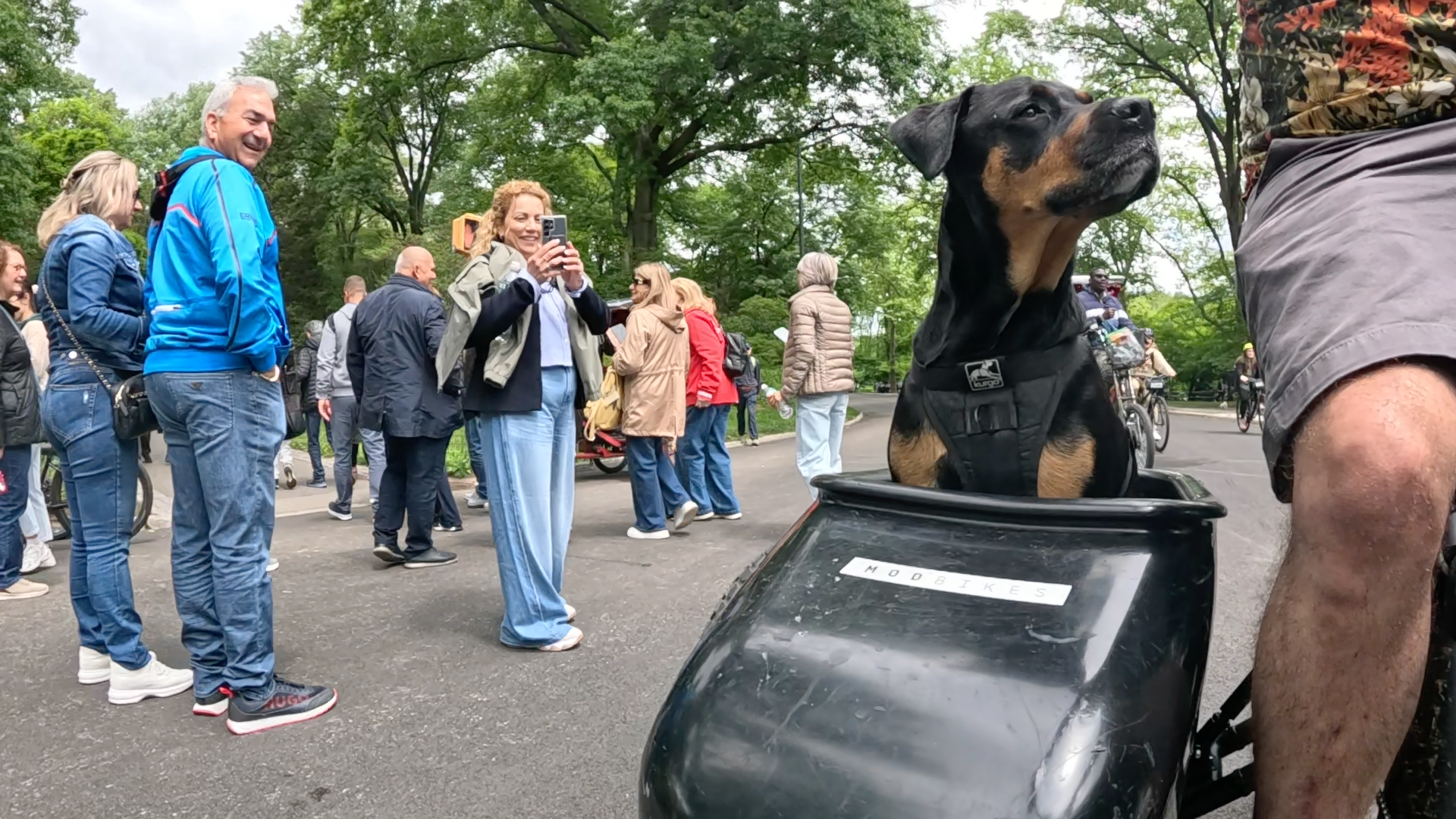 Patrol photo from Central Park on 2025-05-24