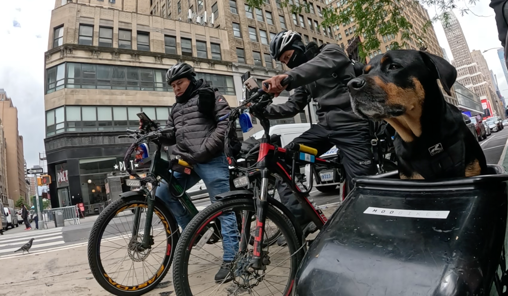 Patrol photo from Central Park on 2025-05-24