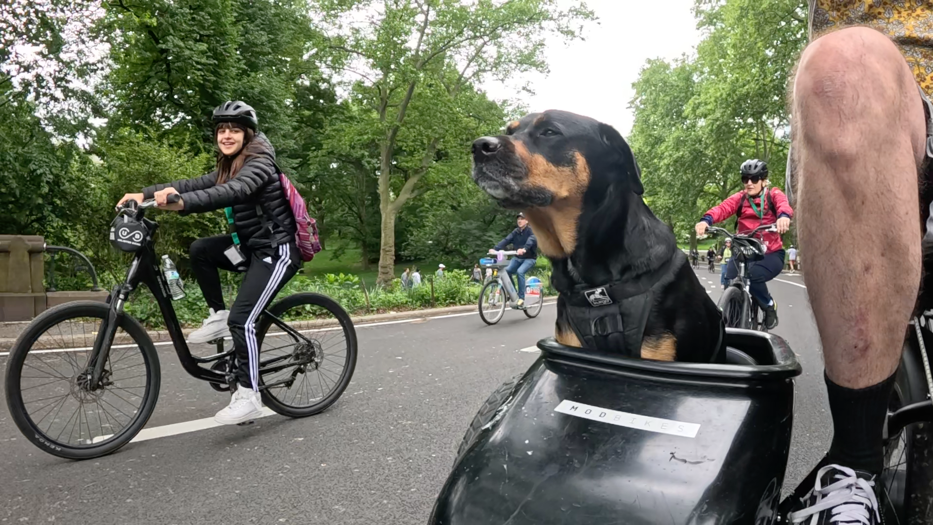 Patrol photo from Central Park on 2025-05-26