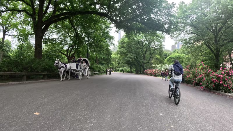 Ride on 2025-05-28