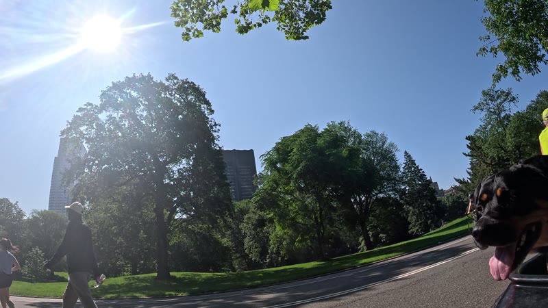 Ride on 2025-06-19
