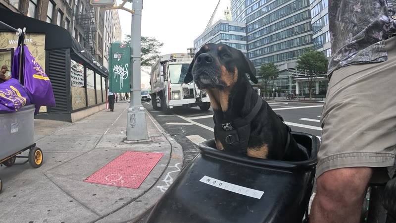 Ride on 2025-07-14