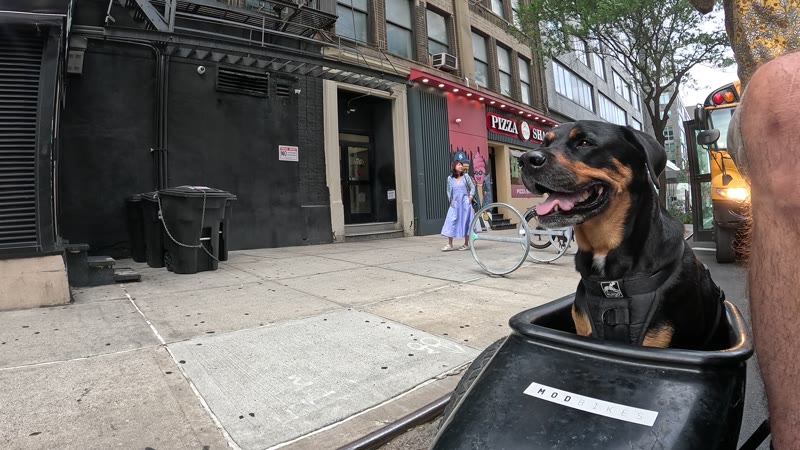 Ride on 2025-07-18