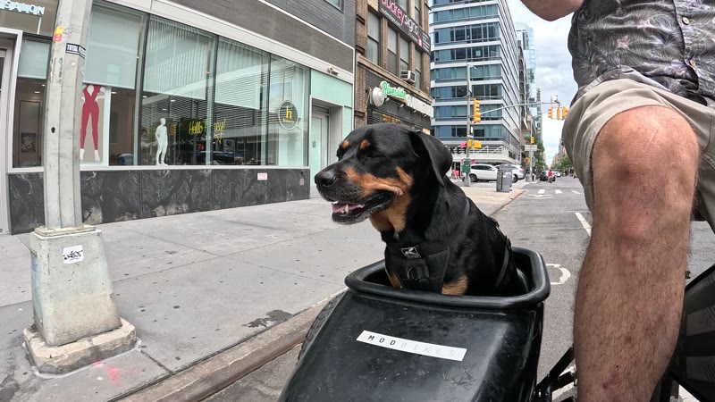 Ride on 2025-07-19