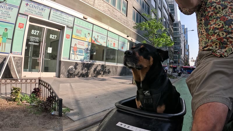 Ride on 2025-07-24
