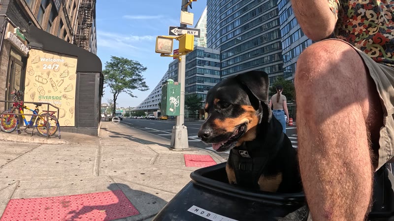 Ride on 2025-08-17