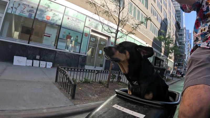 Ride on 2025-08-23