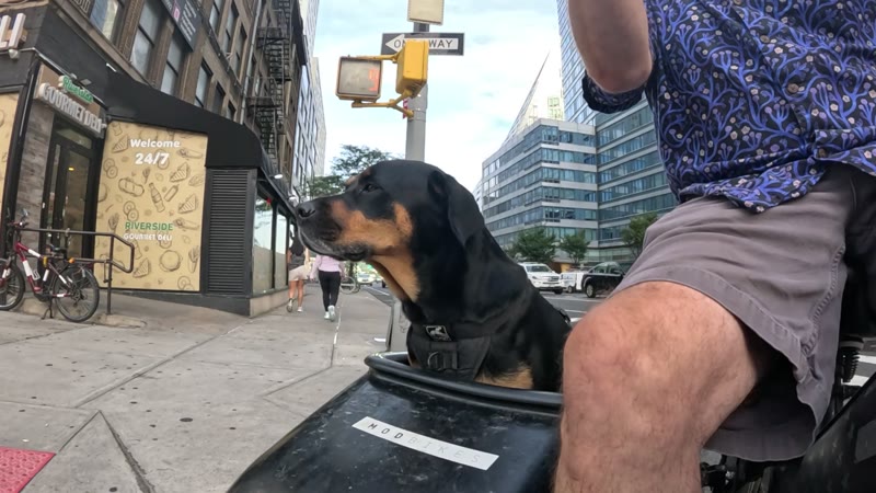 Ride on 2025-08-28