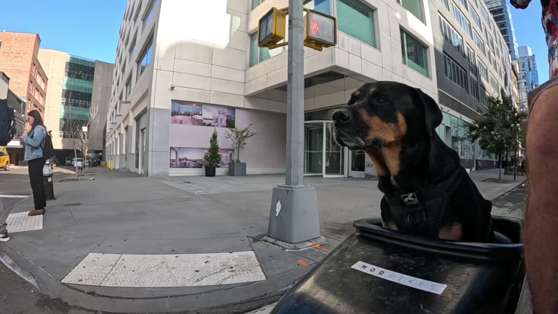 Ride on 2025-09-18