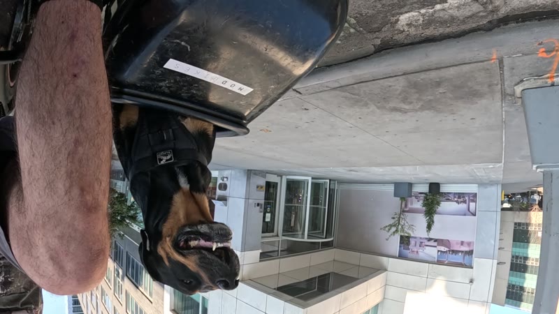 Ride on 2025-09-19