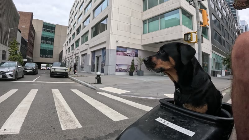 Ride on 2025-09-22