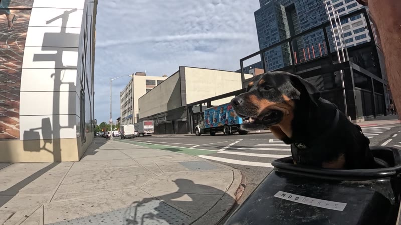 Ride on 2025-09-29