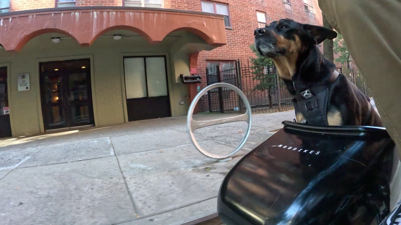 Ride on 2025-10-23