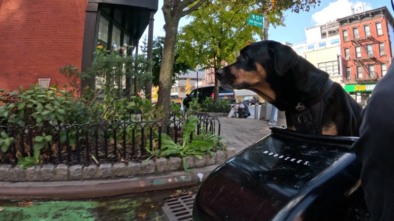 Ride on 2025-11-08