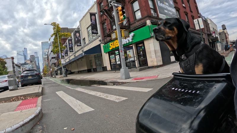 Ride on 2025-11-09