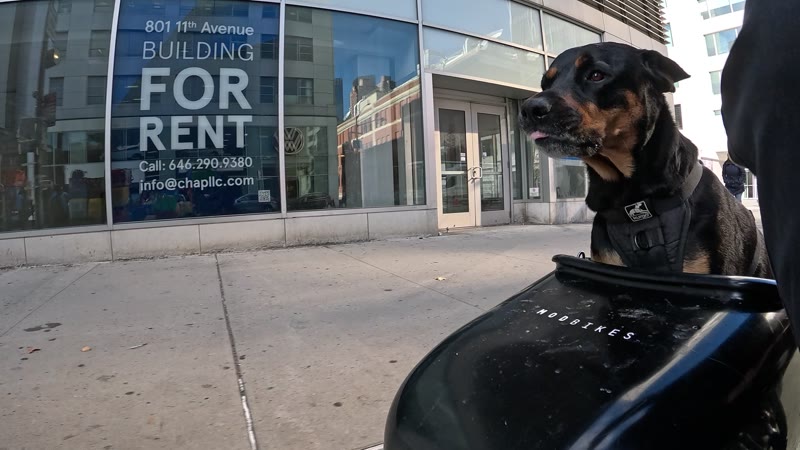 Ride on 2025-11-18