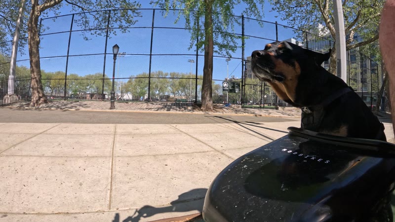 Ride on 2026-04-18