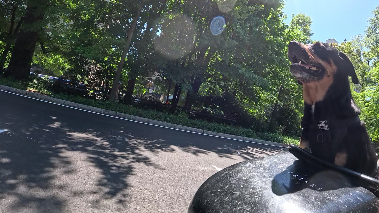Patrol photo from Central Park on 2026-05-12T00:00:00.000Z