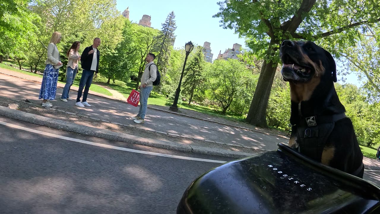 Patrol photo from Central Park on 2026-05-12T00:00:00.000Z