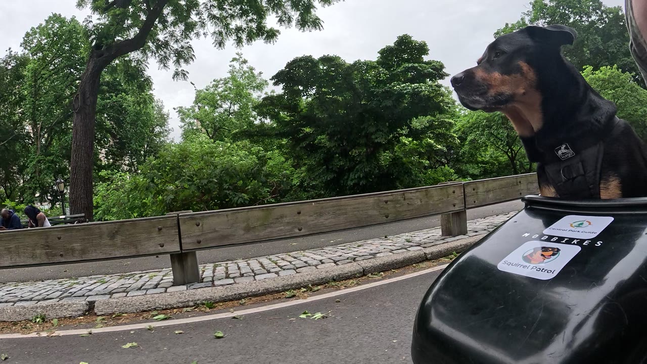 Patrol photo from Central Park on 2026-05-21T00:00:00.000Z