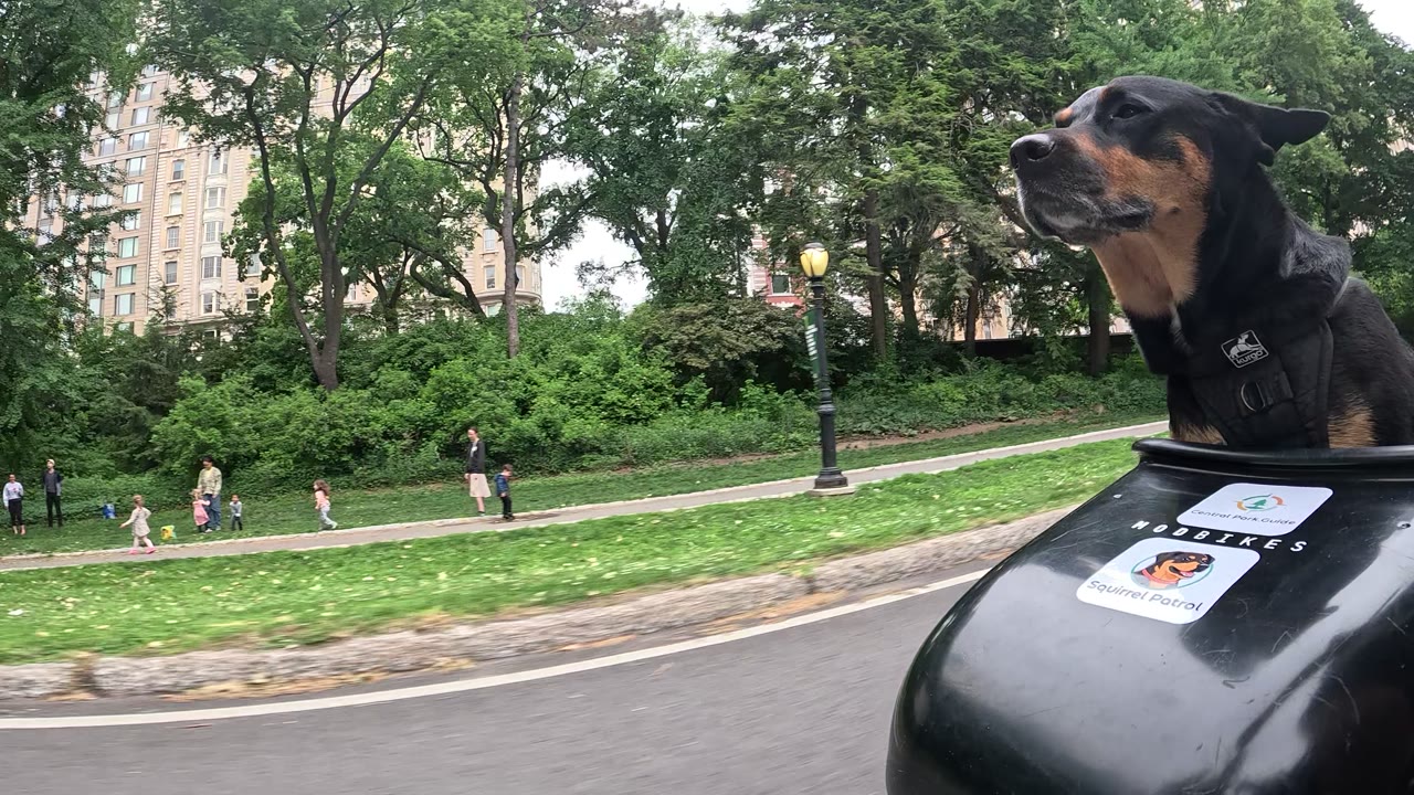 Patrol photo from Central Park on 2026-05-21T00:00:00.000Z