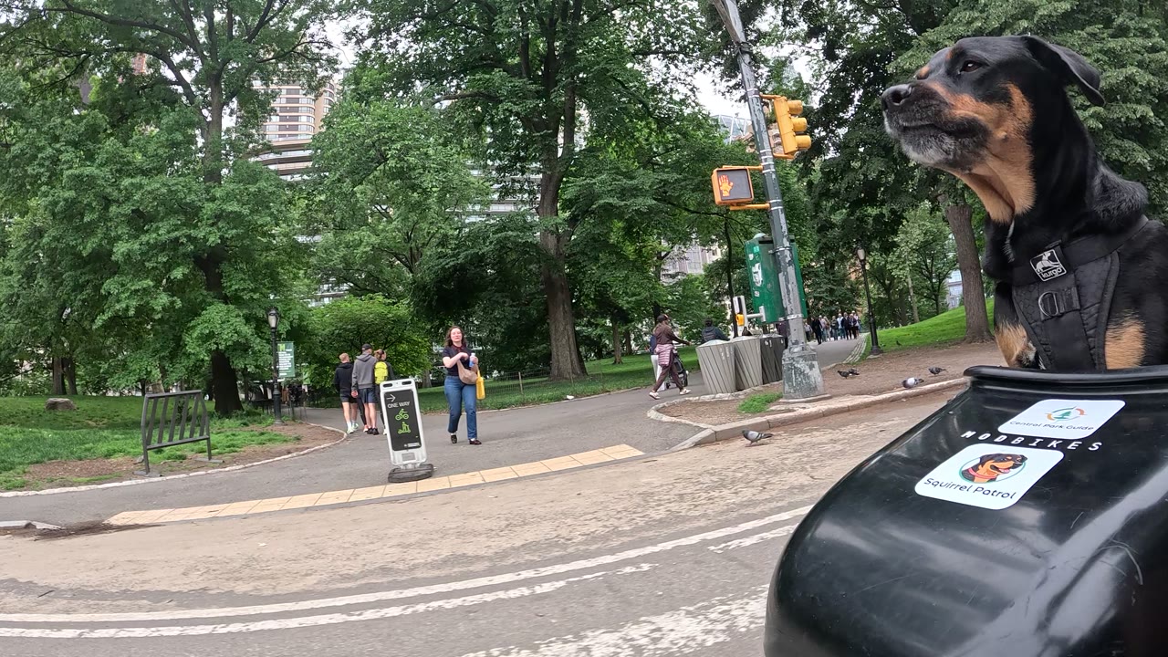 Patrol photo from Central Park on 2026-05-21T00:00:00.000Z